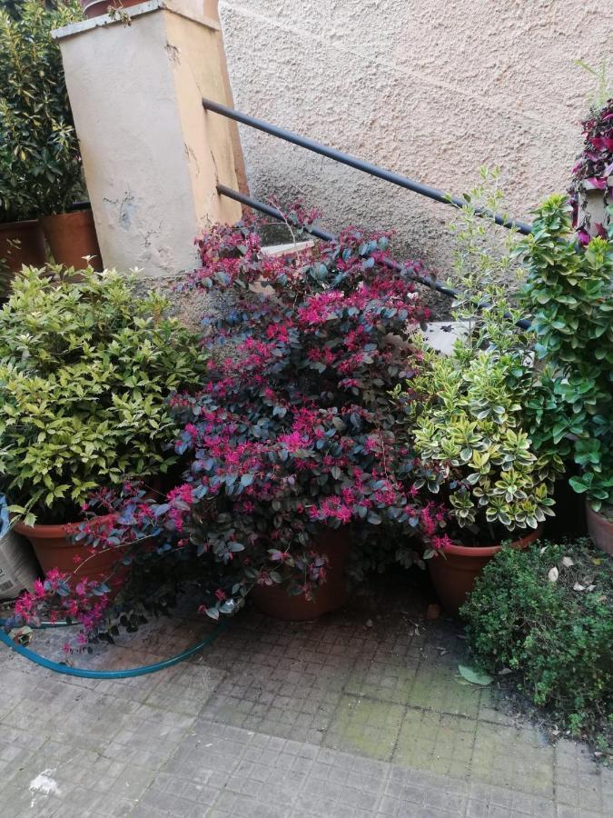 Tra Gianicolo E Trastevere Roma Ngoại thất bức ảnh
