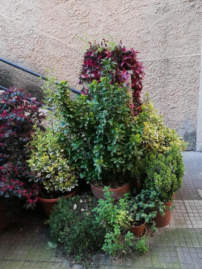 Tra Gianicolo E Trastevere Roma Ngoại thất bức ảnh