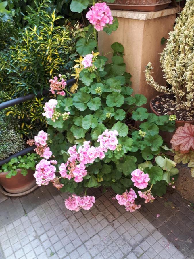 Tra Gianicolo E Trastevere Roma Ngoại thất bức ảnh